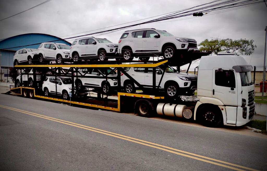 Caminhão cegonha carregado com carros brancos